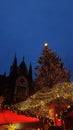 Cologne Cathedral Christmas Garden Royalty Free Stock Photo