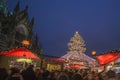 Cologne Christmas tree