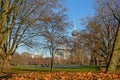 Cologne city park with radio tower and officebuildings, framed by bare winter trees