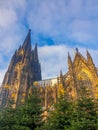 Cologne Germany alongside the rhein river during sunset with the huge Cathedral Royalty Free Stock Photo
