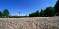 Drought in the cologne green belt in summer Royalty Free Stock Photo