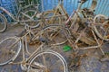 Pile many old muddy rusty bicycles thrown into the rhine and then salvaged
