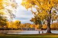 Cologne, Koln, Germany: Beautiful Autumn Fall Foliage Trees on Aachener Weiher Lake