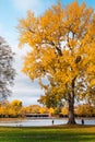 Cologne, Koln, Germany: Beautiful Autumn Fall Foliage Trees on Aachener Weiher Lake