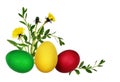 Cololrful Easter eggs and green grass with yellow dandelion flowers in a holiday corner arrangement isolated on white background