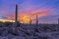 Cololrful Sunrise Skies In North Scottsdale Desert Preserve
