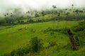 Colombia Coffee Region