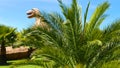 Colombia Jaime Duque park dinosaur in tropical nature