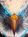 Colombia, Medellin, painting representing the face of an eagle