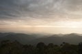 Colombia - rainforest in the Sierra Nevada de Santa Marta