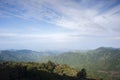 Colombia - rainforest in the Sierra Nevada de Santa Marta