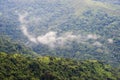 Colombia - rainforest in the Sierra Nevada de Santa Marta