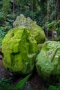 Colombia, wild Darien jungle of the Caribbean sea near Capurgana resort and Panama border. Central America. Waterfall