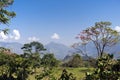 Colombian Andean mountain landscape