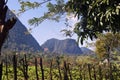 Colombian Andean mountain landscape