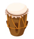 colombian drum percussion