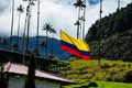 Colombian flag at the beautiful cloud forest and the Quindio Wax Palms at the Cocora Valley located in Salento in the Quindio