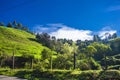 Colombian landscapes. Green mountains in Colombia, Latin America Royalty Free Stock Photo