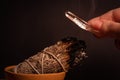 Colombian lemurian clear quartz point cleansed in white sage smoke Royalty Free Stock Photo