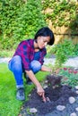 Colombian woman planting basil plant in garden soil Royalty Free Stock Photo