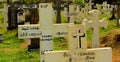 Colombo, Sri Lanka- 01 October 2018: Sri Lankan cemetery with a cross gravestone