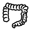 colon rectal cancer line icon vector illustration