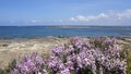 Colonia Sant Jordi, Ses Salines, Mallorca, Spain. Amazing landscape of the Marques beach and the seaside