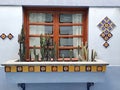 Colonial architecture window blue wall with decorative cactus plants in the streets of Mexico Royalty Free Stock Photo
