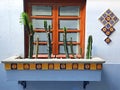 Colonial architecture window blue wall with decorative cactus plants in the streets of Mexico Royalty Free Stock Photo