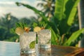 Colonial Indian Veranda with Gin and Tonic Cocktails