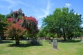 Colonial Park Cemetery Royalty Free Stock Photo