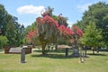 Colonial Park Cemetery Royalty Free Stock Photo