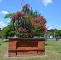 Colonial Park Cemetery Royalty Free Stock Photo