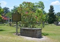 Colonial Park Cemetery Royalty Free Stock Photo