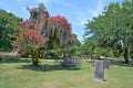 Colonial Park Cemetery Royalty Free Stock Photo