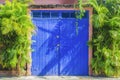 Colonial wooden doors painted blue surrounded by vegetation