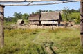 Colonist farm in Amazon