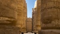 Colonnade in the hypostyle hall of the Karnak Temple. Royalty Free Stock Photo