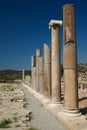 Colonnade, Patara, Turkey Royalty Free Stock Photo