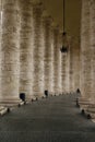 The Colonnade by St. Peter's Basilk Plaza, Rome