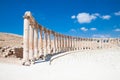 Colonnade Street in Jerash, Jordan Royalty Free Stock Photo