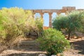 The colonnade of the temple of Juno surrounded by trees in the Valley of the Temples of Agrigento