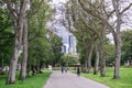 Colonnade of trees with residential skyscrapers in the distance in manchester