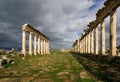 The colonnaded street of Apamea Royalty Free Stock Photo