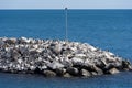 Colony of Australian pied cormorants on rock revetment Royalty Free Stock Photo