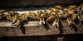 A colony of bees buzzing around their hive collecting nectar, concept of Pollination process, created with Generative AI
