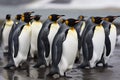 A colony of emperor penguins walking in a row in nature. Generative AI