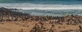 Colony of fur seals at Cape Cross at the skelett coastline of Namibia at the Atlantic Ocean, panorama Royalty Free Stock Photo