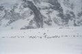 Gentoo Penguin Colony, Antarctica Adventure Royalty Free Stock Photo