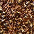 A colony of honeybees gathering nectar and forming a honeycomb pattern in celebration of the new year1 Royalty Free Stock Photo